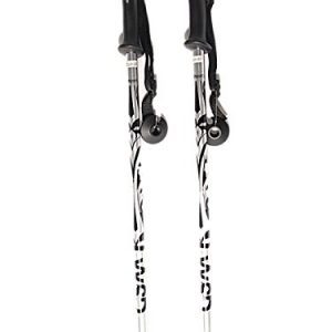 Aluminum silver Ski Poles pair with baskets