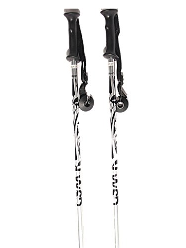 Aluminum silver Ski Poles pair with baskets