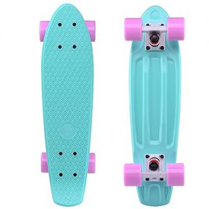 Playshion Complete 22'' Mini Cruiser Skateboard For Beginner With Sturdy Deck