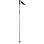 Salomon Angel S3 Ski Poles - Women's