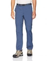 Columbia Silver Ridge Cargo Pant