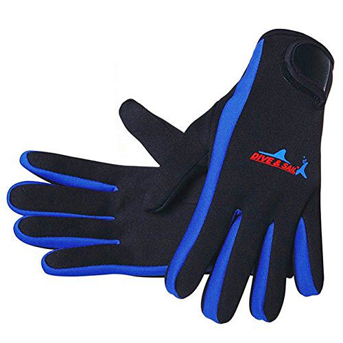 DIVE & SAIL Wetsuits 1.5 mm Premium Neoprene Gloves Scuba Diving Five Finger Glove