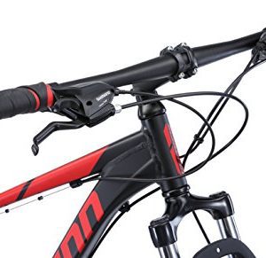 schwinn eagle 29
