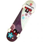 Punisher Skateboards Soul Complete 31-Inch Skateboard with Canadian Maple