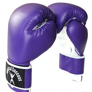 Purple Boxing Gloves 12oz