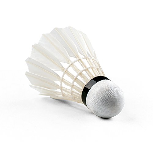 Senston Badminton Shuttlecocks A30(High Stability and Durability)