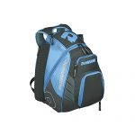 DeMarini Voodoo Rebirth Backpack