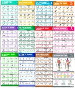 12-Pack Large Size Workout Poster Set - 460 Exercise