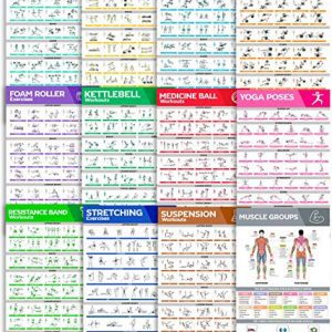 12-Pack Large Size Workout Poster Set - 460 Exercise