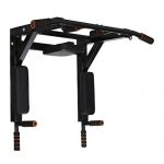 Wall Mounted Pull Up Bar and Dip Station - Your Full-Body Workout Solution