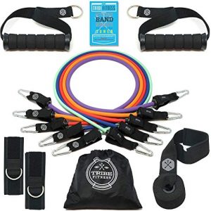 Tribe Resistance Bands Set, Exercise Bands for Working Out - Includes Stackable Workout Bands, Handles, Ankle Straps, Door Anchor, Carry Bag & Advanced eBook