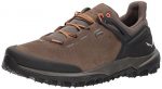Salewa Men's Wander Hiker GTX Hiking Shoe, Walnut/New Cumin, 9