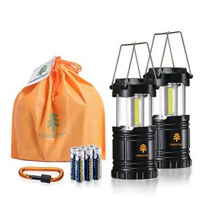 Forester+ Camping Lantern (2-Pack), Super Bright COB LED, Great for Camping, Hiking, Survival Kit, Emergency Light, Power Outage and Holiday Gift (6 x AA Batteries Included)