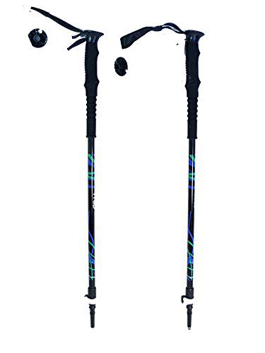 WSD Telescopic Adjustable Adult Ski Poles