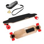 Aceshin Electric Skateboard Longboard