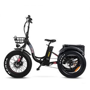 Addmotor Motan 3 Wheel Electric Bicycle