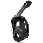 Snorkeling Mask with Detachable Camera Mount