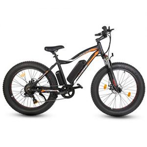 ECOTRIC 26”Powerful Fat Tire Electric Bicycle