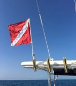 SPEARFISHING WORLD Dive Flag with Pole