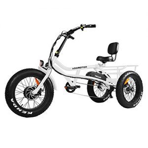 Addmotor Motan M-360 Electric Tricycle 20"