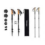 Retrospec High Point Trekking and Ski Poles
