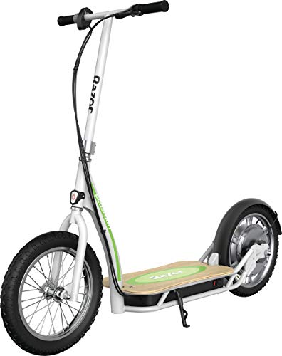 EcoSmart SUP Electric Scooter 350w High-Torque Hub-Driven Motor