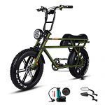 Addmotor Couple Ebike 20" M-60 M-70