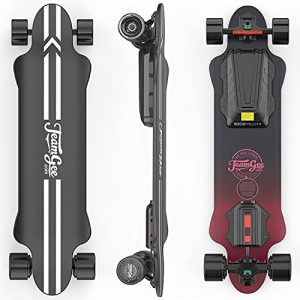 Electric Skateboard with Remote 1200W Dual Motor