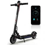 Folding Electric Scooter for Adults 300W Brushless Motor