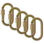 Fusion Climb Ovatti Steel Screw-Lock