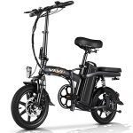 Vivi Folding Electric Bike