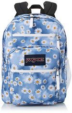 JanSport Traditional Backpacks