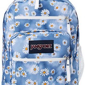 JanSport Traditional Backpacks