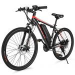 20MPH Adults Ebike with Removable 10.4Ah Battery