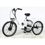 Electric Bike Adult Tricycle 3 Wheel