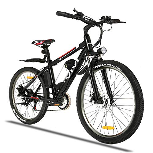 Electric Mountain Bike Professional 21 Speed Electric Bicycle