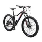Comp Adult Mountain Bike Aluminum Frame