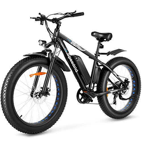 Electric Bike Fat Tire Removable Battery