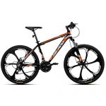 Mountain Bike Aluminum MTB Bicycle with 17 Inch Frame