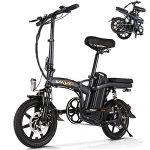 Folding Electric Bicycle Ebike for Adults