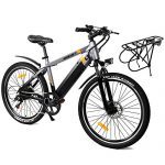 SDU 350W Electric Mountain Bike for Adults