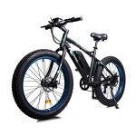 Powerful Electric Bicycle Snow Ebike Throttle & Pedal Assist