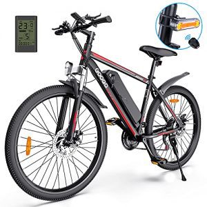 Electric Mountain Bike with 350W Motor for Adults