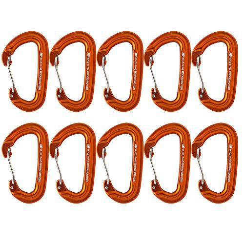 Wire Gate Modified D Shape Carabiner