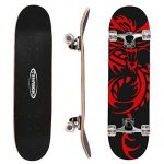 Double Kick Skate Board Cruiser Longboard