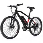 500W/750W PEAK HUB MOTOR -