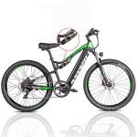 Electric Bikes for Adult Moped