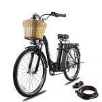 Electric Bicycle Camel Style for Adults