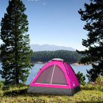 2 Person Dome Tent- Rain Fly & Carry Bag - Image 4