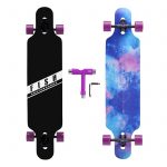 FISH SKATEBOARDS 41-Inch Downhill